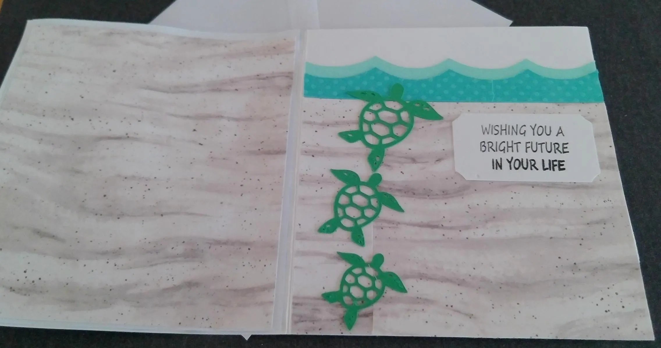 Ocean Turtle Life Cycle